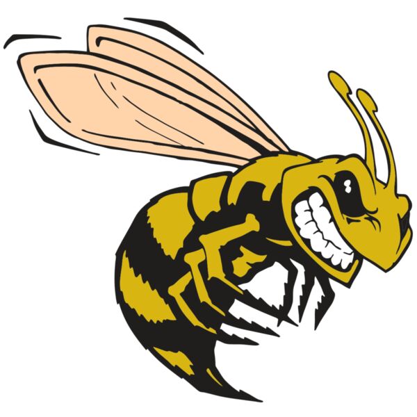 AR BEE 50 RC Thumbnail