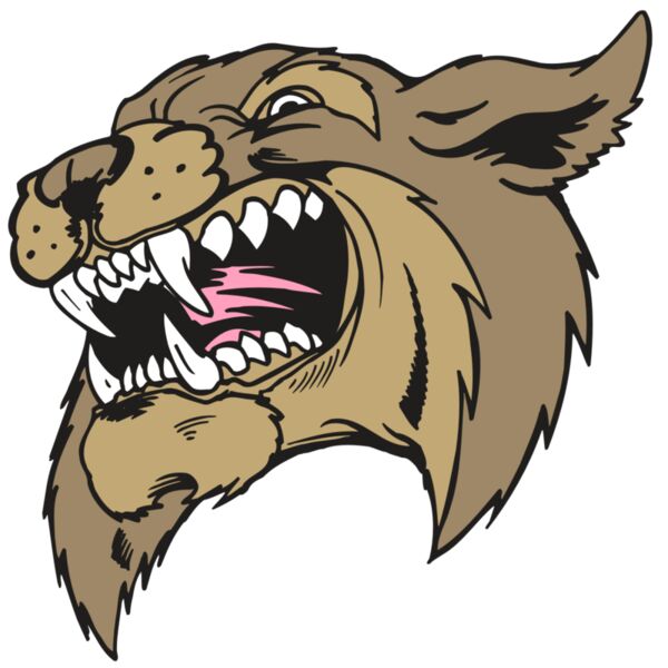 AR5 BOBCAT 09 RQC Thumbnail