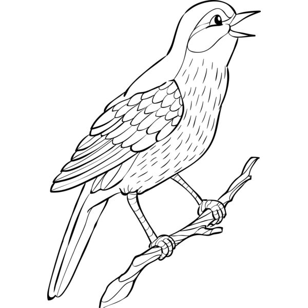 Nightingale   Clipart 2 Thumbnail