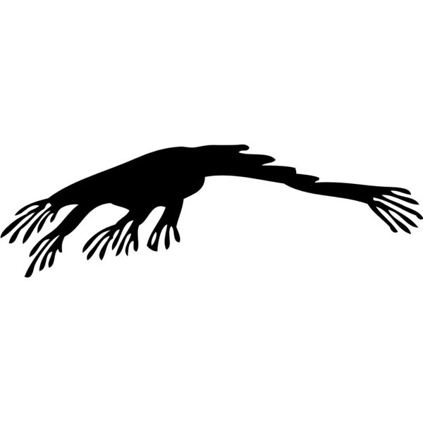 Shrimp Silhouette 7 Thumbnail