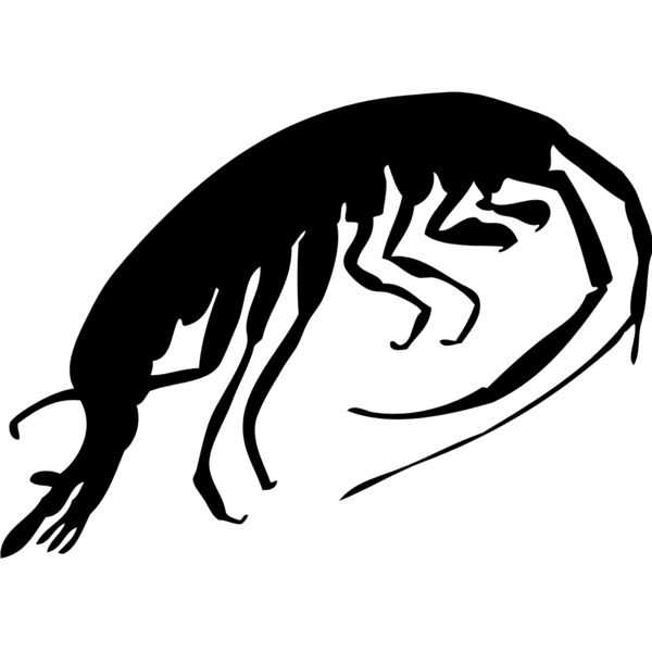 Shrimp Silhouette 5 Thumbnail