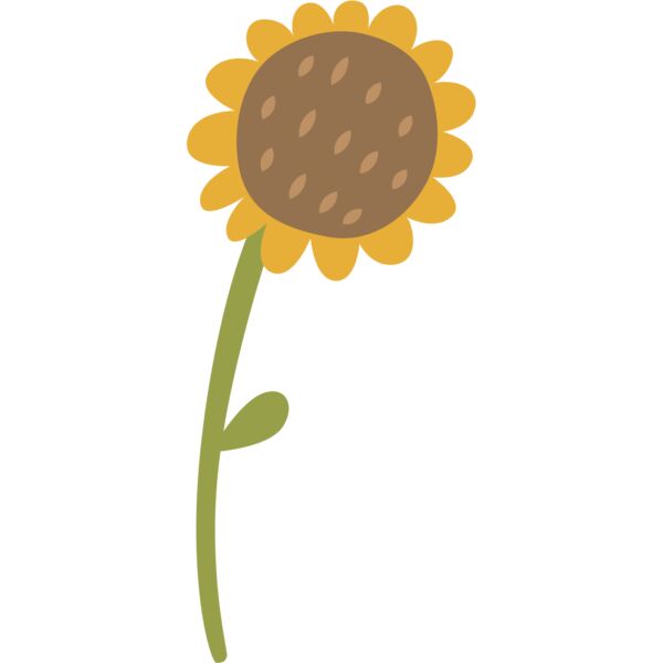 Autumn Fall Sunflower 2 Thumbnail