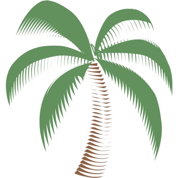 Summer Palm Tree 8 Thumbnail