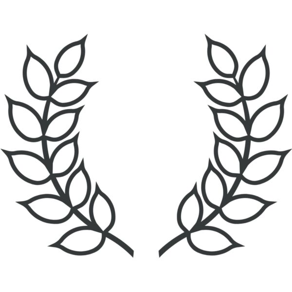 Branch Wreath 20 Thumbnail