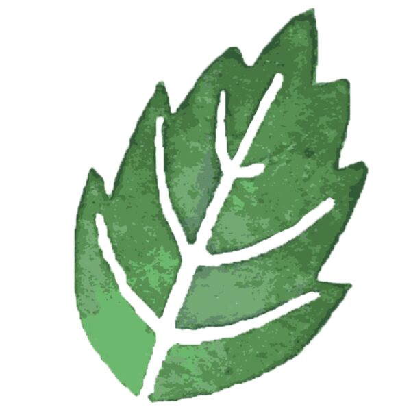 Watercolor Leaf 2 Thumbnail