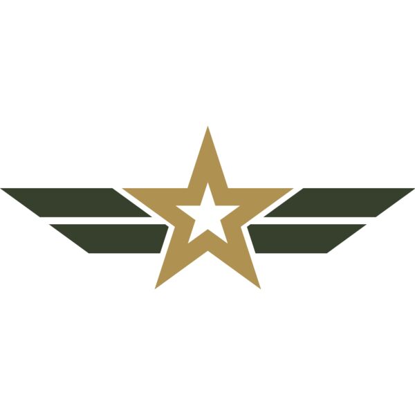 Military Star Wings Emblem 2 Thumbnail
